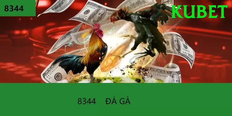 Đá Gà Trực Tiếp - Trải nghiệm tuyệt vời - Hướng dẫn